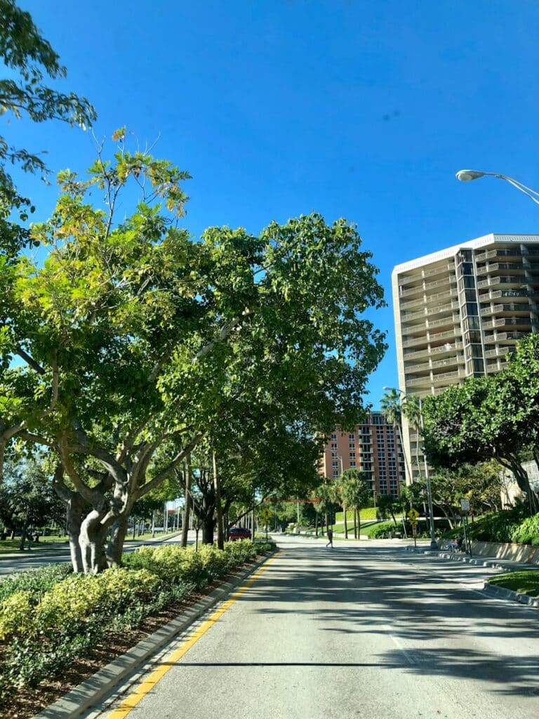 green trees